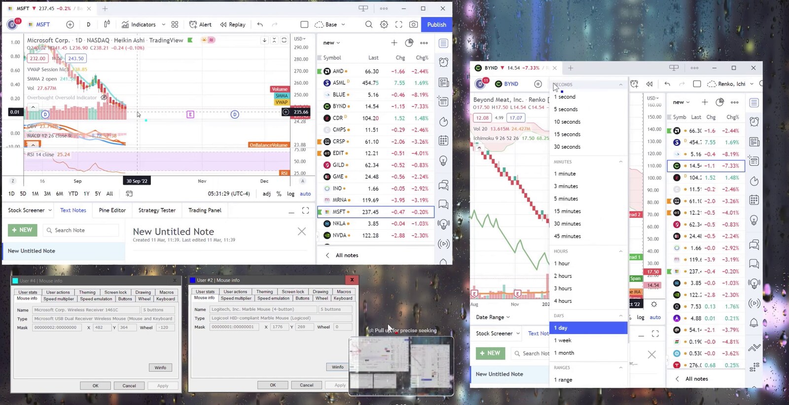 Adjusting a TradingView timeframe on one window while the other stays live